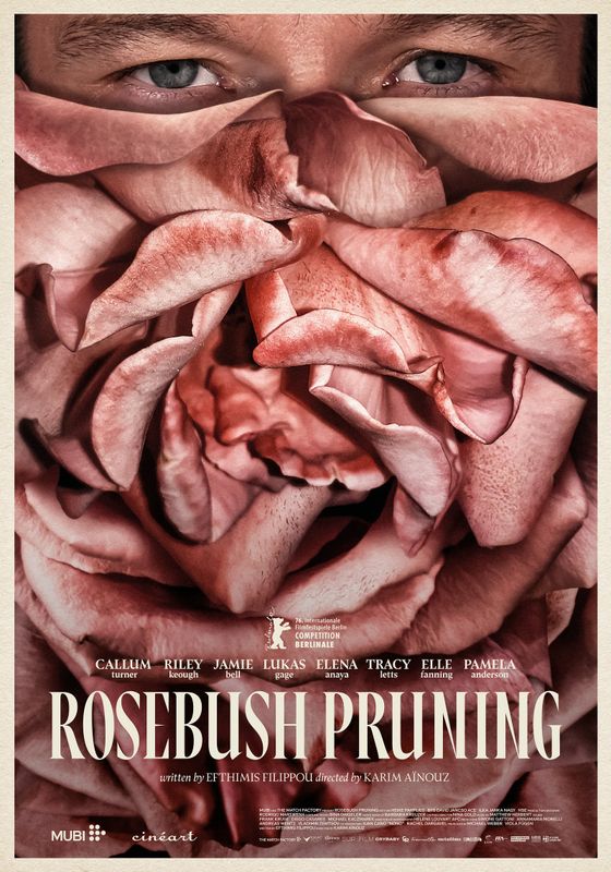 Rosebush Pruning